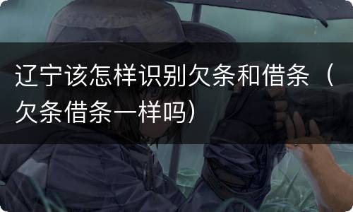 辽宁该怎样识别欠条和借条（欠条借条一样吗）