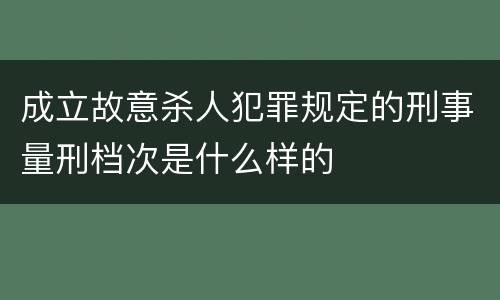 成立故意杀人犯罪规定的刑事量刑档次是什么样的
