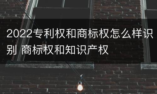 2022专利权和商标权怎么样识别 商标权和知识产权