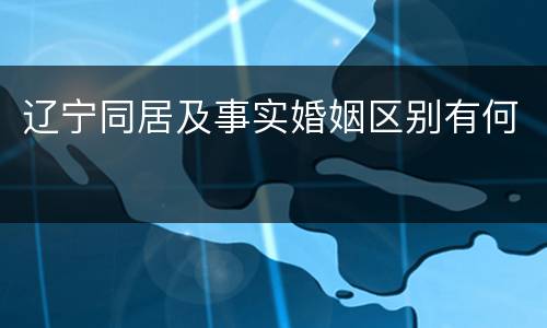 辽宁同居及事实婚姻区别有何