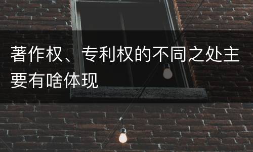 著作权、专利权的不同之处主要有啥体现