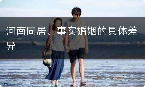 河南同居、事实婚姻的具体差异