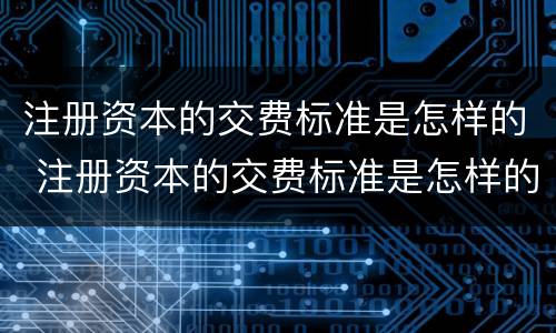 注册资本的交费标准是怎样的 注册资本的交费标准是怎样的呢