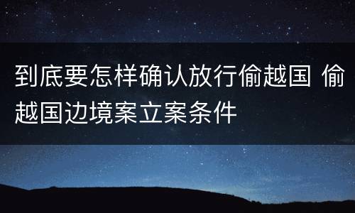 到底要怎样确认放行偷越国 偷越国边境案立案条件
