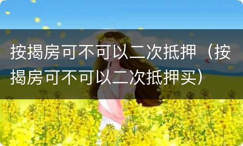 按揭房可不可以二次抵押（按揭房可不可以二次抵押买）