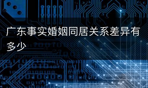 广东事实婚姻同居关系差异有多少