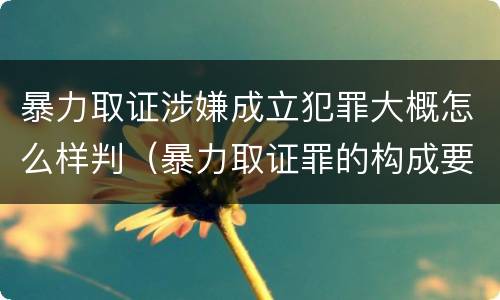 暴力取证涉嫌成立犯罪大概怎么样判（暴力取证罪的构成要件）