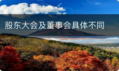 股东大会及董事会具体不同