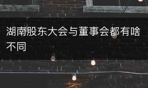 湖南股东大会与董事会都有啥不同