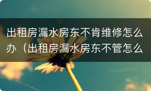 出租房漏水房东不肯维修怎么办（出租房漏水房东不管怎么办）