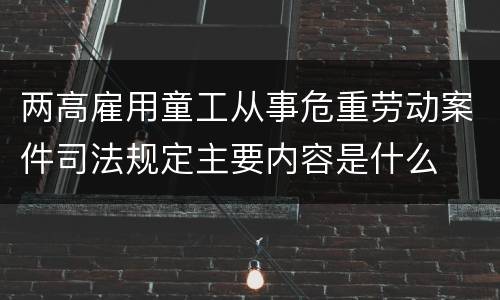 两高雇用童工从事危重劳动案件司法规定主要内容是什么