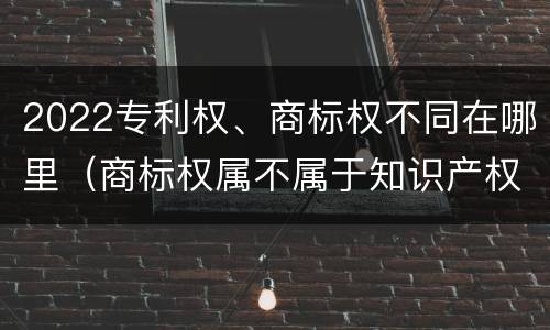 2022专利权、商标权不同在哪里（商标权属不属于知识产权）