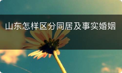 山东怎样区分同居及事实婚姻