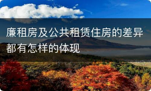 廉租房及公共租赁住房的差异都有怎样的体现