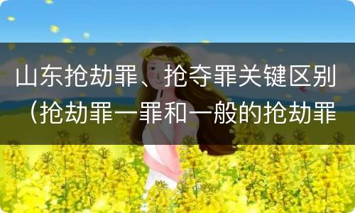 山东抢劫罪、抢夺罪关键区别（抢劫罪一罪和一般的抢劫罪）