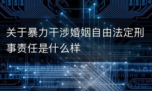 关于暴力干涉婚姻自由法定刑事责任是什么样