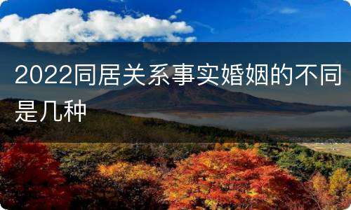 2022同居关系事实婚姻的不同是几种