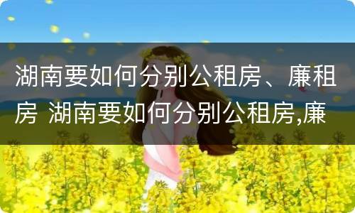 湖南要如何分别公租房、廉租房 湖南要如何分别公租房,廉租房和商品房