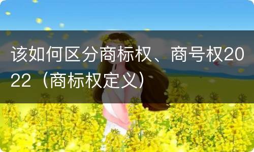 该如何区分商标权、商号权2022（商标权定义）