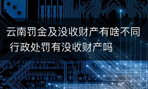 云南罚金及没收财产有啥不同 行政处罚有没收财产吗