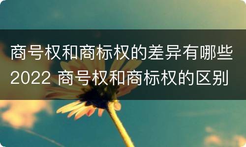 商号权和商标权的差异有哪些2022 商号权和商标权的区别