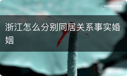 浙江怎么分别同居关系事实婚姻