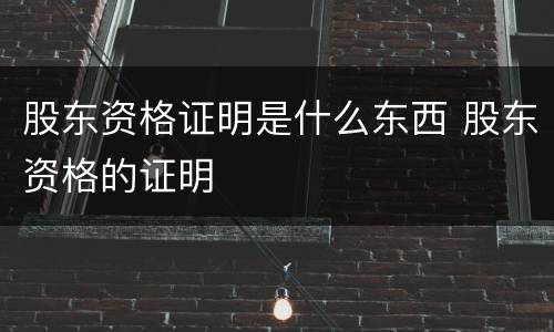 股东资格证明是什么东西 股东资格的证明