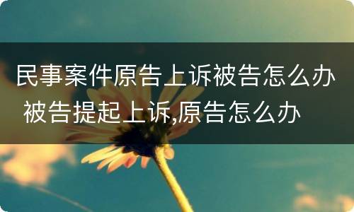 民事案件原告上诉被告怎么办 被告提起上诉,原告怎么办