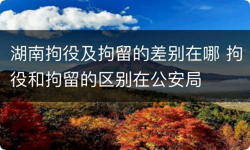 湖南拘役及拘留的差别在哪 拘役和拘留的区别在公安局