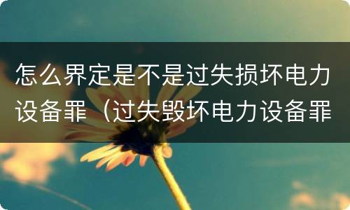 怎么界定是不是过失损坏电力设备罪（过失毁坏电力设备罪）
