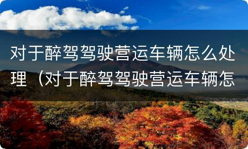 对于醉驾驾驶营运车辆怎么处理（对于醉驾驾驶营运车辆怎么处理的）