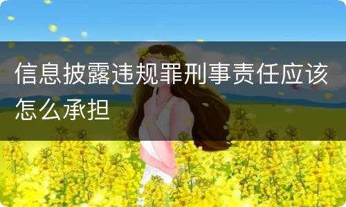 信息披露违规罪刑事责任应该怎么承担