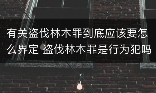 有关盗伐林木罪到底应该要怎么界定 盗伐林木罪是行为犯吗