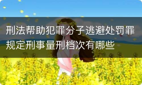 刑法帮助犯罪分子逃避处罚罪规定刑事量刑档次有哪些