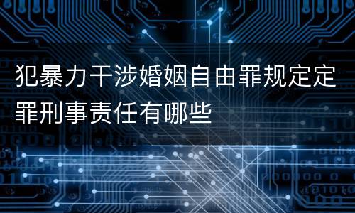 犯暴力干涉婚姻自由罪规定定罪刑事责任有哪些