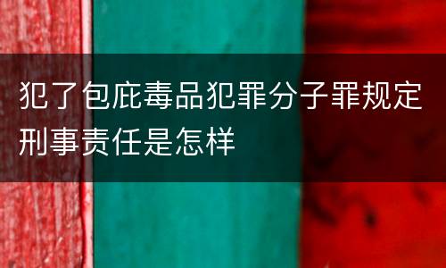 犯了包庇毒品犯罪分子罪规定刑事责任是怎样
