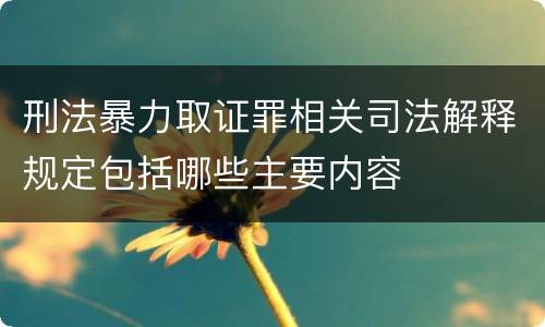 刑法暴力取证罪相关司法解释规定包括哪些主要内容