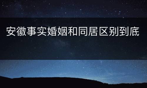 安徽事实婚姻和同居区别到底