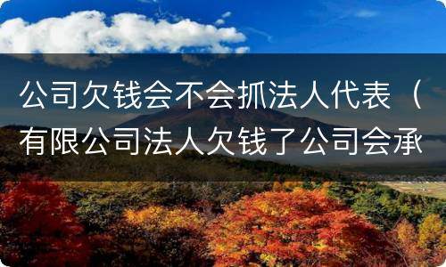 公司欠钱会不会抓法人代表（有限公司法人欠钱了公司会承担责任吗?）