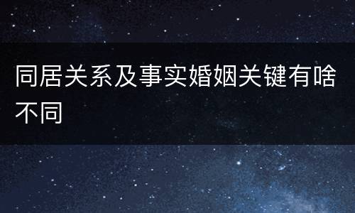 同居关系及事实婚姻关键有啥不同