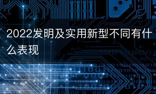 2022发明及实用新型不同有什么表现