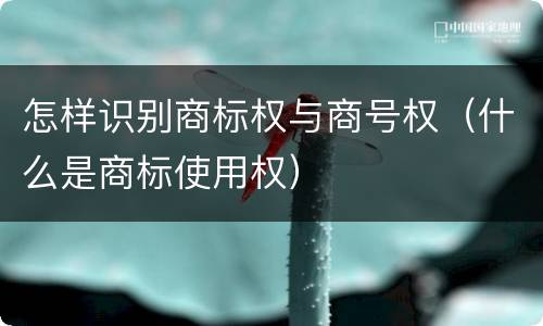 怎样识别商标权与商号权（什么是商标使用权）