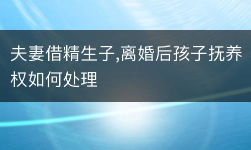 夫妻借精生子,离婚后孩子抚养权如何处理