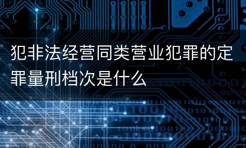 犯非法经营同类营业犯罪的定罪量刑档次是什么