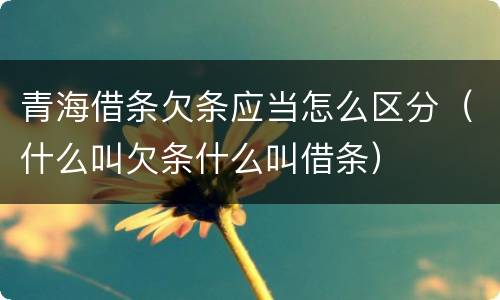 青海借条欠条应当怎么区分（什么叫欠条什么叫借条）