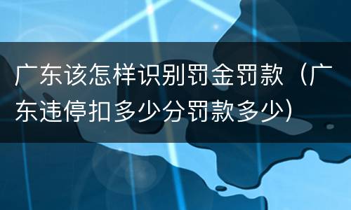 广东该怎样识别罚金罚款（广东违停扣多少分罚款多少）