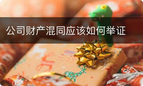 公司财产混同应该如何举证