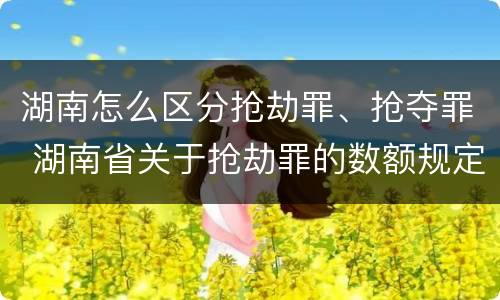 湖南怎么区分抢劫罪、抢夺罪 湖南省关于抢劫罪的数额规定