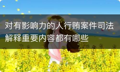 对有影响力的人行贿案件司法解释重要内容都有哪些