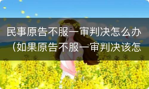 民事原告不服一审判决怎么办（如果原告不服一审判决该怎么办）